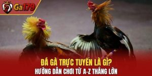 đá gà trực tuyến