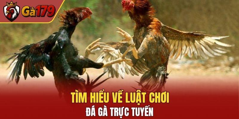 Nắm rõ những cửa cược xuất hiện trong đấu trường